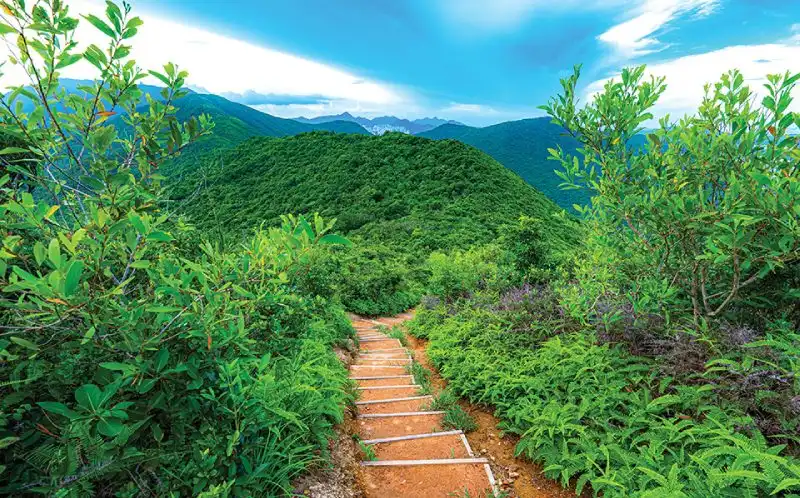 打爛埕頂山 打爛埕頂山